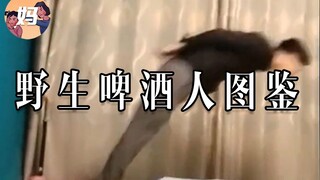 【野生人类图鉴】醉 酒 狂 暴