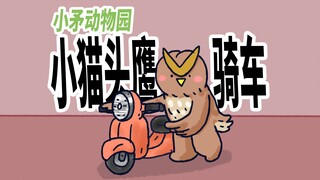 [สวนสัตว์หอกน้อย] นกฮูกน้อยปั่นจักรยานเก่งมาก