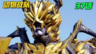 【特摄解说】七位兽王者集结！阿萨路德显出真身 宇宙破坏神登场