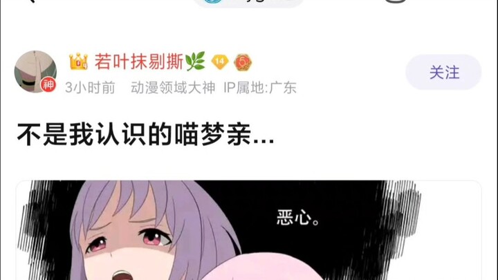 【Mujica】这不是我认识的喵梦亲