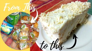 Cheesy No Bake Cake | Met's Kitchen