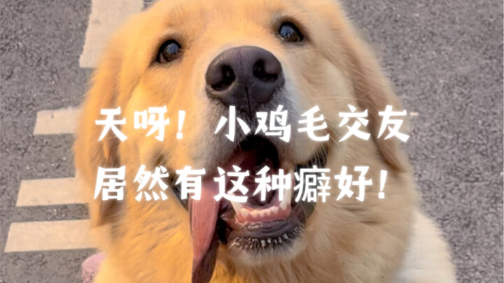 Oh my god! Xiao Jimao’s dating profile actually lists this kind of kink!