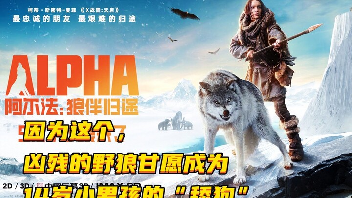 Dari tersentak bangun di tebing hingga berlutut di depan pintu rumah, apa sebenarnya yang dialami bo