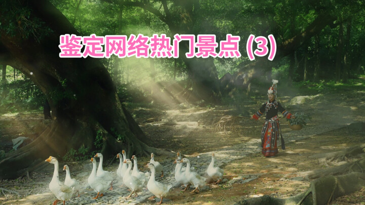 Identifying Popular Online Attractions (3)