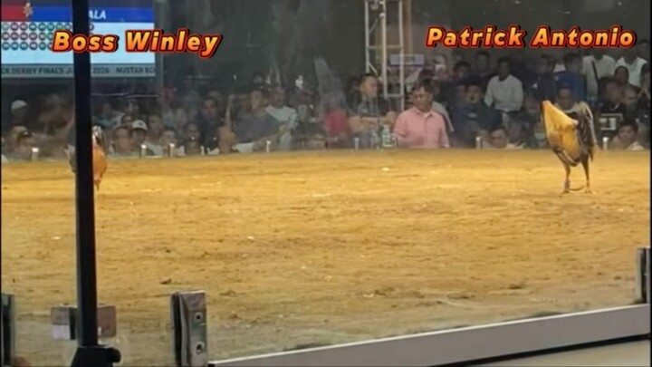 BOSS WINLEY VS PATRICK ANTONIO (June 16,2026)