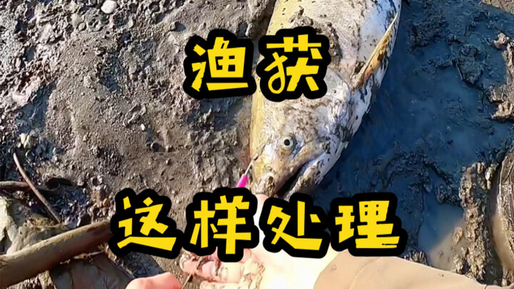 How to handle the fish you’ve caught—this way is both legal and convenient.