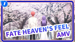 [Fate/Stay Night: Heaven’s Feel AMV], Tình yêu như hoa anh đào, mùa xuân trùng phùng_1