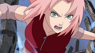 SAKURA MODE BERINGAS GUYS