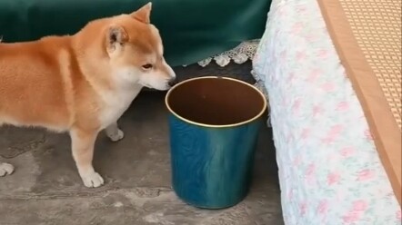 แค่ยังไม่ได้พูดออกมาเท่านั้นเอง