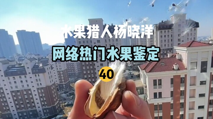 【صياد الفواكه】 تحديد هوية الفواكه الشائعة على الإنترنت 40