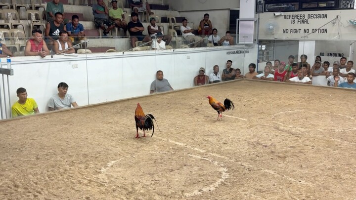 PCC 4 COCK FINALS LAST FIGHT ENTRY NAME: AB NATAPPIAN