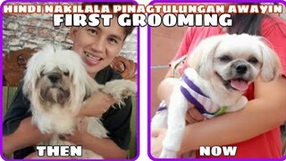 TRY NAMIN GUPITAN SI CHANEL #SHIHTZU