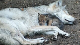 I feel safe lying in my sister's arms