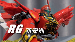 【RG 新安洲】给我站直喽！