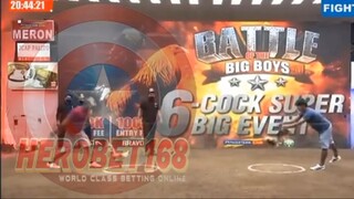 HEROBET88 & HEROBET168 SABUNG AYAM TERPERCAYA