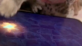 Hanya dengan diajari beberapa kali secara langsung, saya langsung paham cara memainkan game ini.