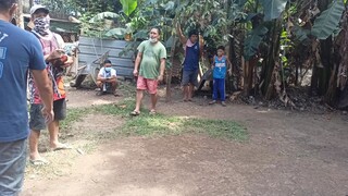 manok bundok #BluefaceBalbon
