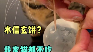 Mizu Shingen Mochi? Isn't it just jelly?