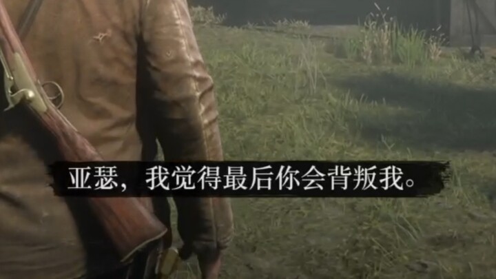 到底是谁背叛了谁呢 达奇？