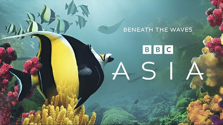 Asia_S01E01_Beneath the Waves