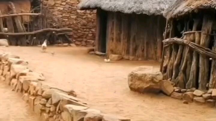 Funny video