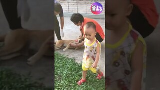 Nàng tiên cá gặp thú y 🤣 #Shorts #Yeulu #Yeuluofficial