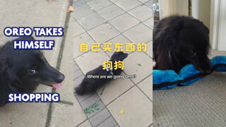 让他买！让他买！