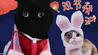 ชุดเทศกาลของเซียนซุ่ยซุ่ย!