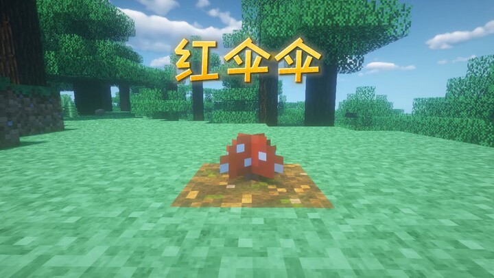 Cherish life, stay away from poisonous mushrooms!