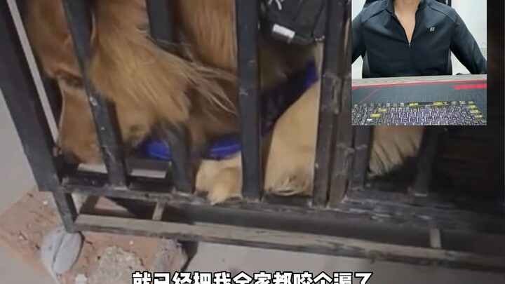 พานหง๋าได้รับภาพหายากจากซีรีส์ “Breaking Bad”!?