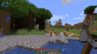 VILLAGER MENIKAH DAN KUCINGKU KEMBALI PULANG - Minecraft Survival Indonesia #2