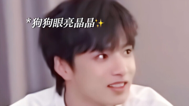 ماذا يحدث! لا أطيق تدليل الجرو... أنا حقًا أحب الكلاب!