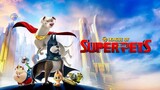 DC.League.of.Super.Pets.2022