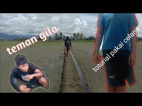 Lucu ketika punya teman gila - video lucu terbaru 2020