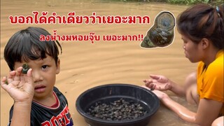 นี่ดงหอยชัดๆ เยอะมากๆได้ทีละเป็นกำๆหอยจากธรรมชาติล้วนๆ😱