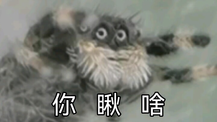 【DD Diary】Gushin Menatap (⊙ - ⊙)