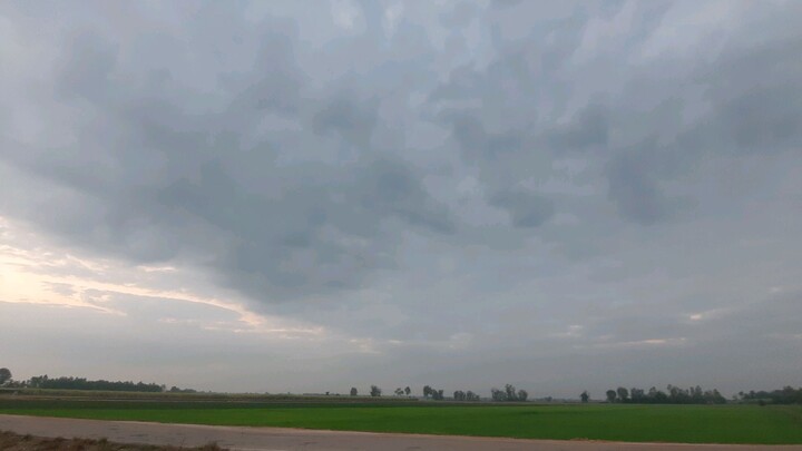 พายุไต้ฝุ่น