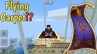 minecraft but flying carpet was added