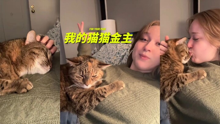 Thanks to the cat for helping me earn two thousand yuan 💰