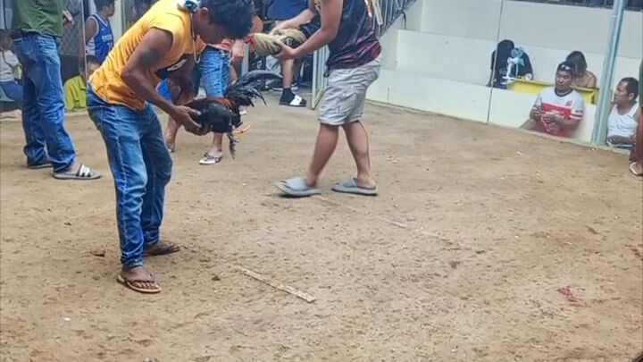 toril ni bai