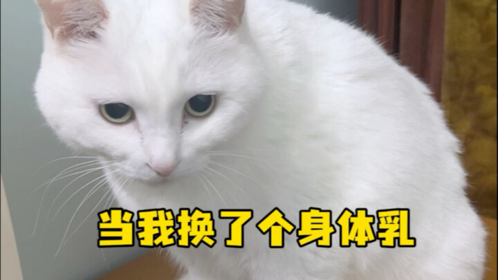 当我换了个身体乳