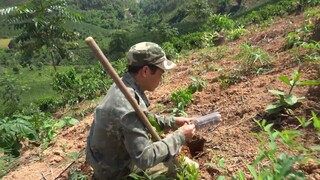 MÓN NGON TỪ LÒNG ĐẤT