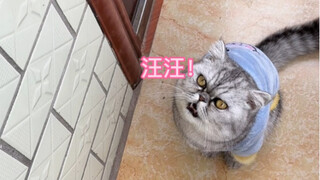 妈耶说：3+2-5=汪汪