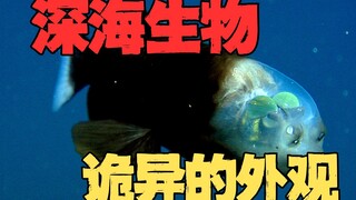 Why do creatures grow stranger the deeper the sea?