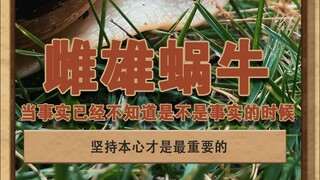 雌雄蜗牛 有没有作弊我真不知道，但我知道现在讨论的环境已经和最终的事实毫无关系了#灰色故事 #泽华君 #姜萍