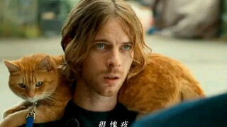 “我是流浪汉，但我的猫不是”