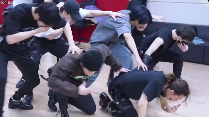 【Stray Kids】Kingdom Fan Meeting 'MIROH' Dance Practice Room Version
