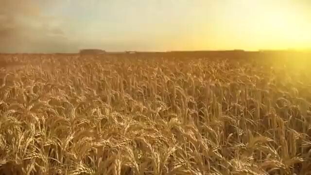 GOD OF GAMBLERS TAGALOG MOVIE