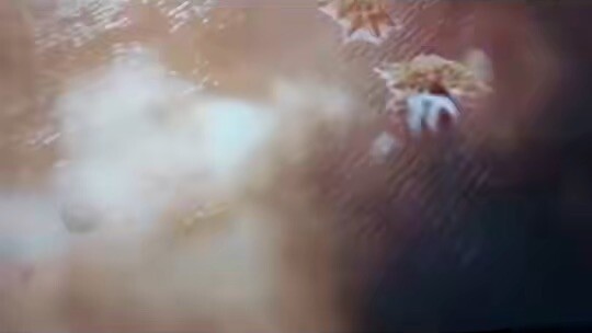 ออกไม่ได้เลยติดจนตั้งแต่ep1-164แล้วรออัปเดต แอดจ้า รออยู่น่ะ หานลี่ #คัมภีร์วิถีเซียน#หานลี่  #แนะนำ