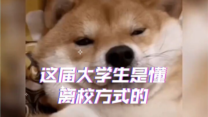 طلاب الجامعة هذه الدفعة يعرفون تمامًا كيف يودّعون الحرم الجامعي!